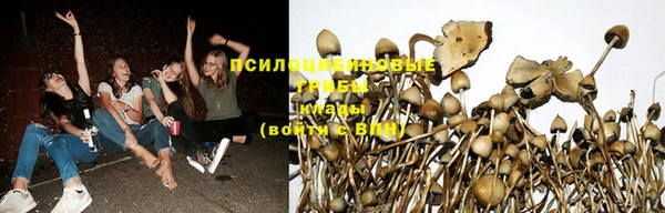 первитин Бронницы